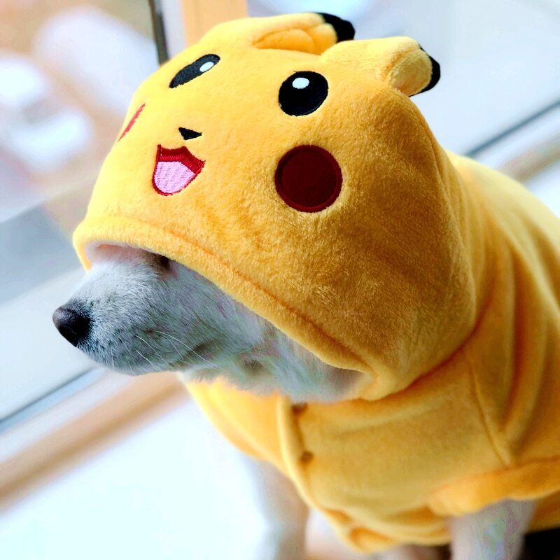 Pikachu Dog & Cat PLUSH Winter Hoodie