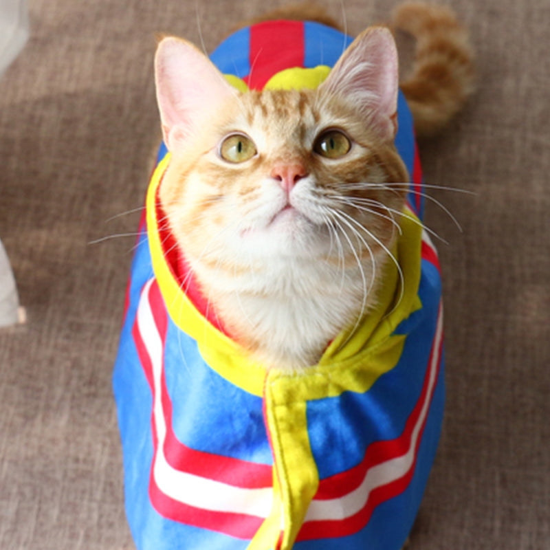 All Might Dog & Cat Hoodie (OUT OF STOCK)