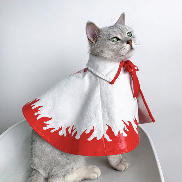 Your cat or dog can be King of the Pirates with One Piece anime cosplay  outfits for petsPhotos  SoraNews24 Japan News